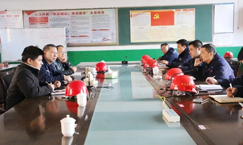 張忠華到雙環(huán)公司現場調研(圖2)