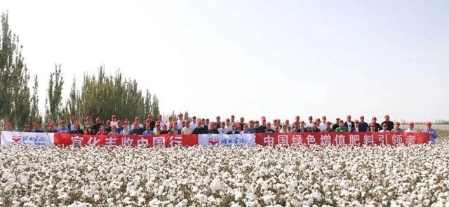 宜化豐收中國行！新疆棉花大型測產(chǎn)觀摩會成功舉行