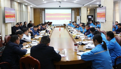王大真調(diào)研指導(dǎo)股份公司、化機(jī)公司和TMP新項(xiàng)目2020年財(cái)務(wù)預(yù)算工作