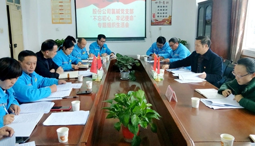向宇飛列席指導(dǎo)股份公司氯堿黨支部“不忘初心、牢記使命”專題組織生活會(huì)