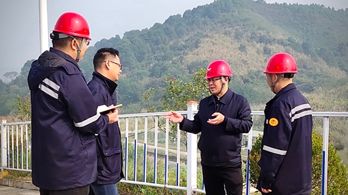 王大真到松滋肥業(yè)、楚星公司、新材料公司和股份公司現(xiàn)場(chǎng)調(diào)研
